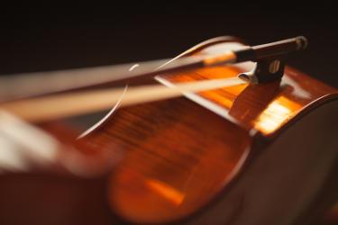 In Praise of the Violin